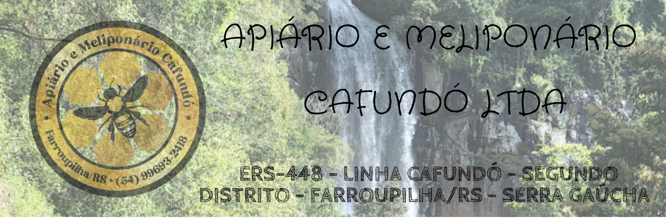 SERRA GAUCHA.png